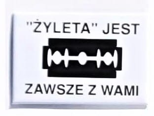 magnes zyletka 2.jpg